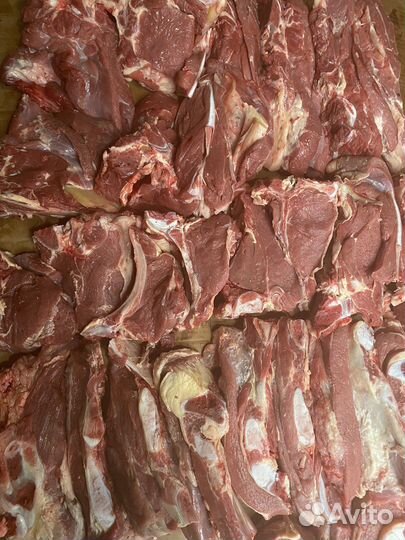 Лакомства для собак