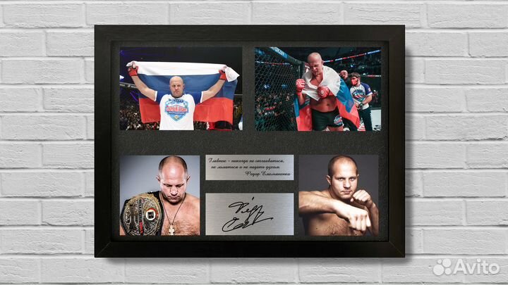 Федор Емельяненко сувенир с автографом на металле