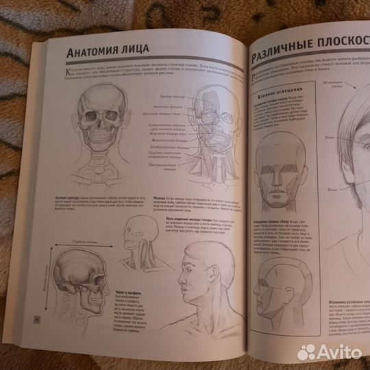 Рисуем голову и фигуру человека. Самоучитель