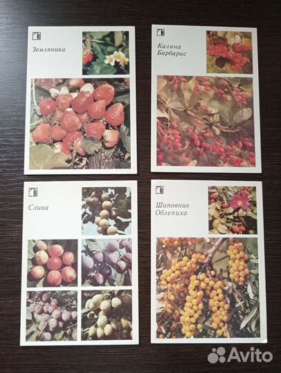 Открытки СССР