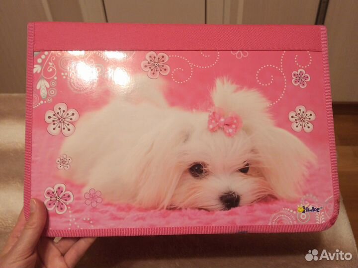 Папка для школы