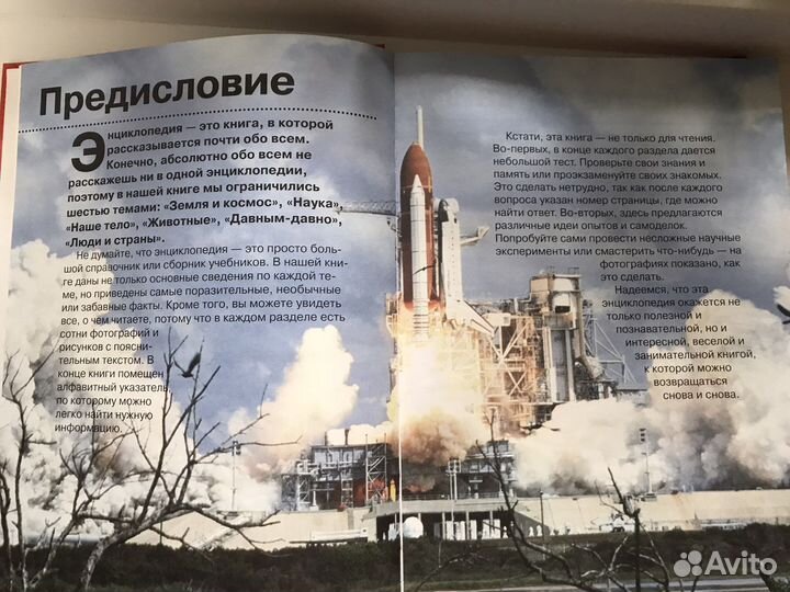 Большая энциклопедия школьника