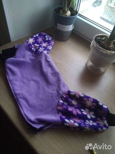 Одежда, поводок, когтерезка для собаки