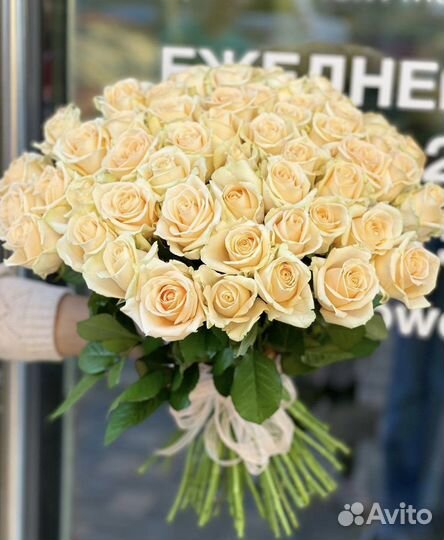 Цветы 51 роза