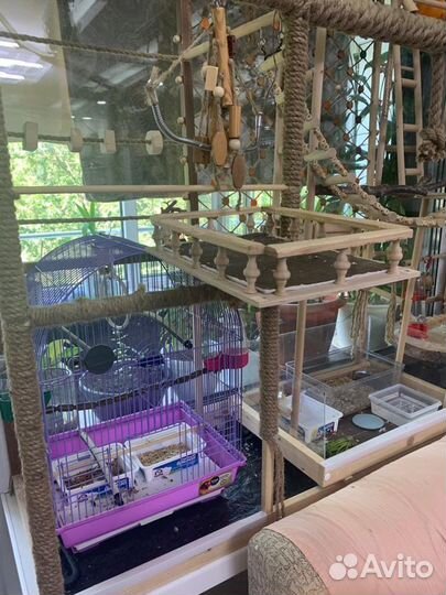 Стенд для попугая