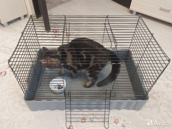 Клетка для грызунов