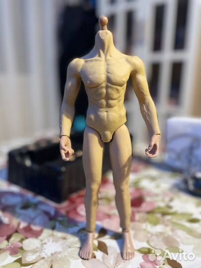 Тело 1/6 мужское для Phizen, BJD