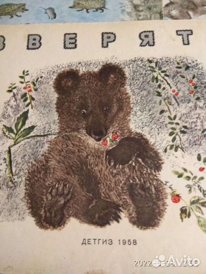 Детские книги, Чарушин, 1950х годов