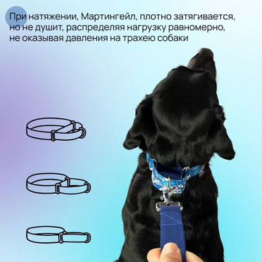Ошейник для собак