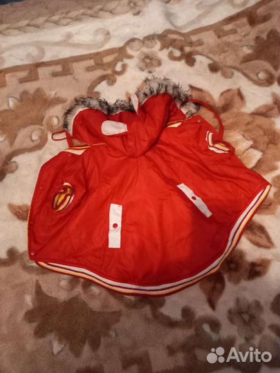 Кеды и одежда для собаки