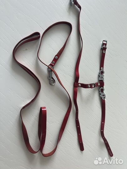 Шлейка для кошки