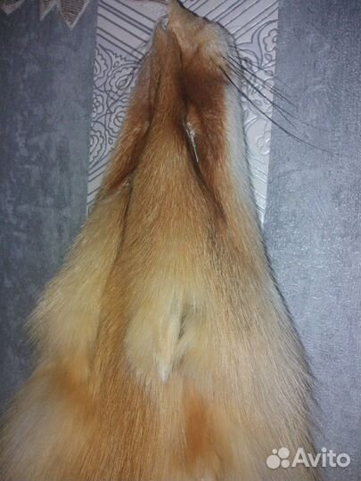 Шкурка животного