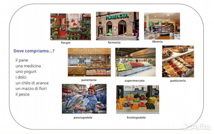 Итальянский язык Репетитор