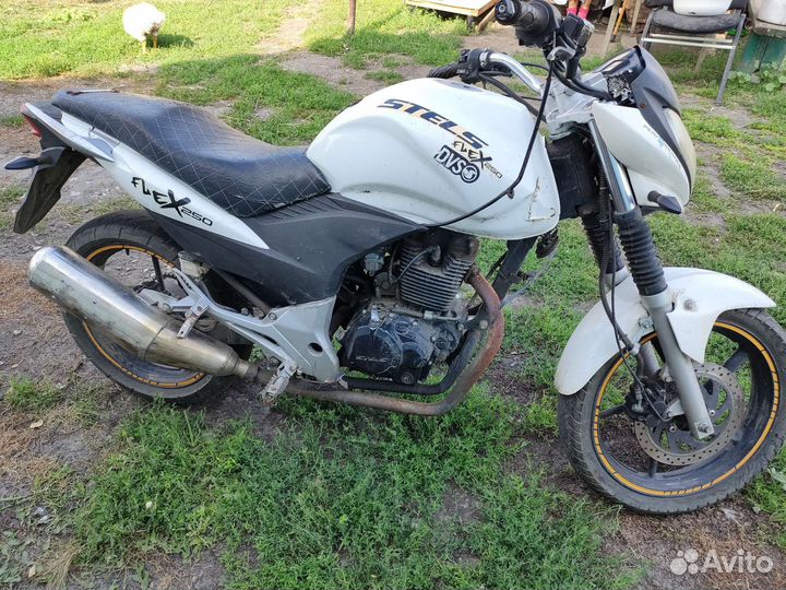 Продам stels flex 250