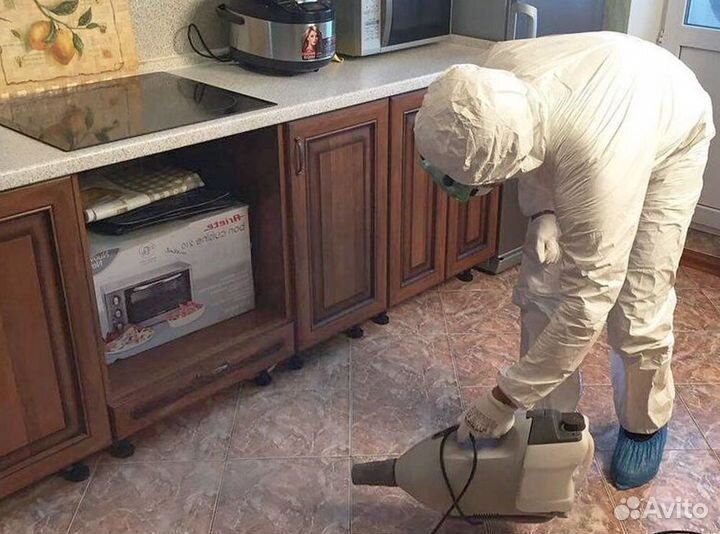 Средство для Уничтожения клопов тараканов плесени клещей