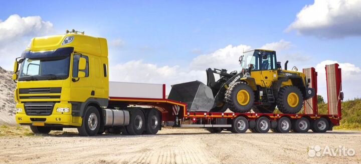 Услуги-штора,борт,трал,контейнеровоз