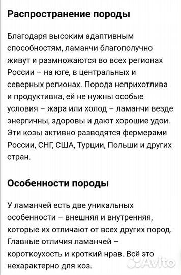 Коза