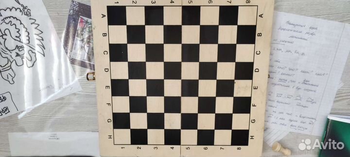 Шашки шахматы