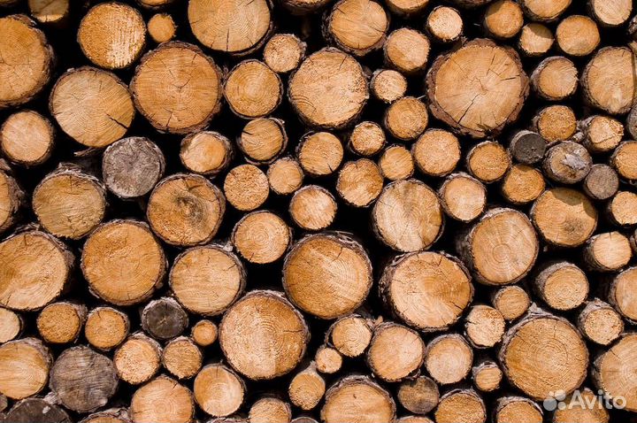 Продам делянку