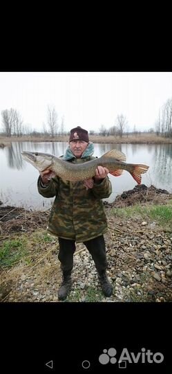 Рыбалка на щуку