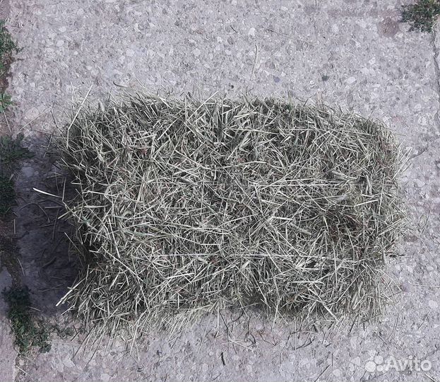 Сено луговое в тюках