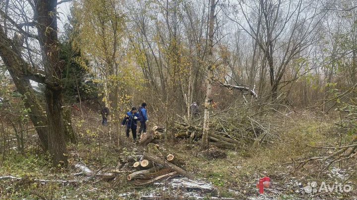 Расчистка участка