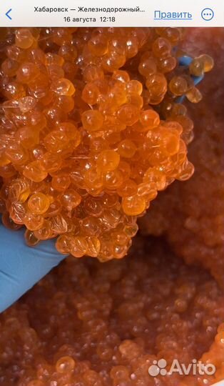 Красная икра оптом Кета И Горбуша