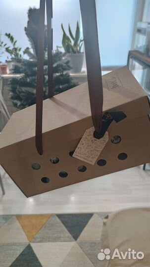 Кот Басик бариста