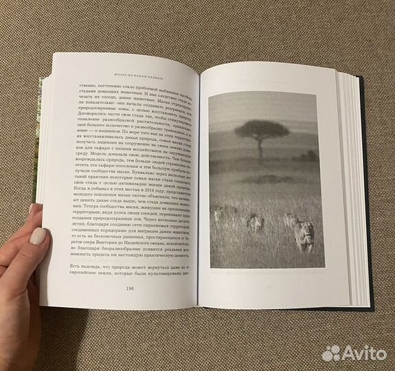 Жизнь на нашей планете Аттенборо Дэвид