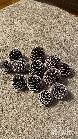 Набор для творчества шишка пидцунской сосны