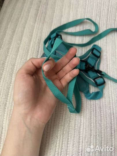 Шлейка, поводок для маленьких кошек и собак