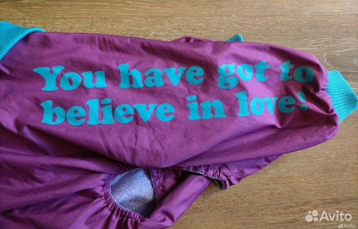 Одежда для собак