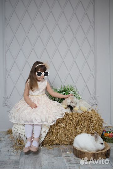 Платье нарядное для утренника или фотосессии