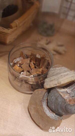 Трутовик березовый