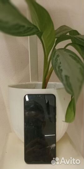 HUAWEI Y8P, 4/128 ГБ