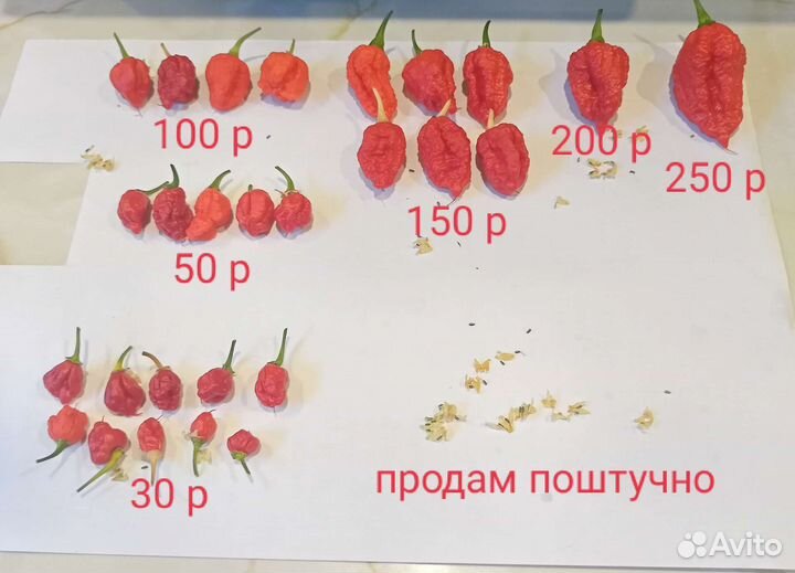 Перец Carolina Reaper