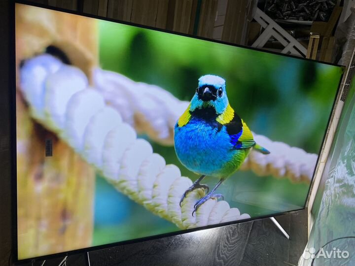 Телевизор-гигант 165 см круче Самсунга