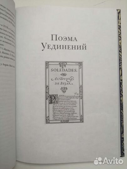 Луис де Гонгора. «Поэма Уединений»