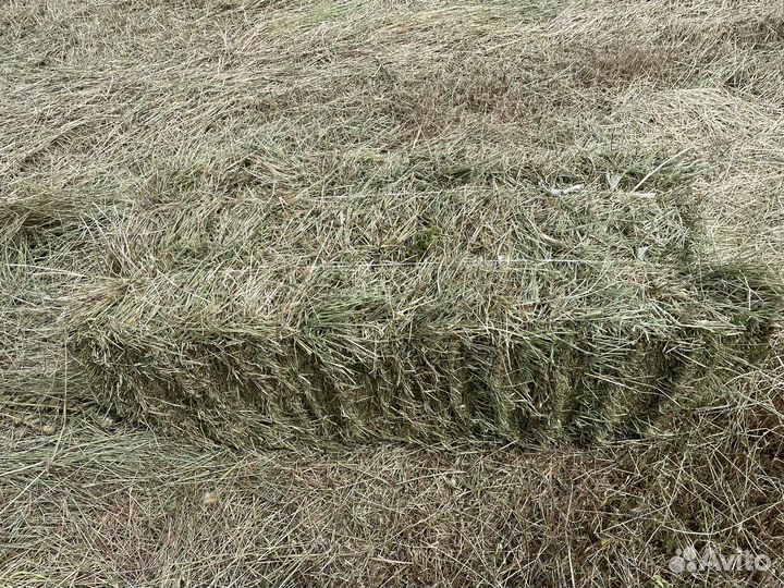 Сено разнотрав