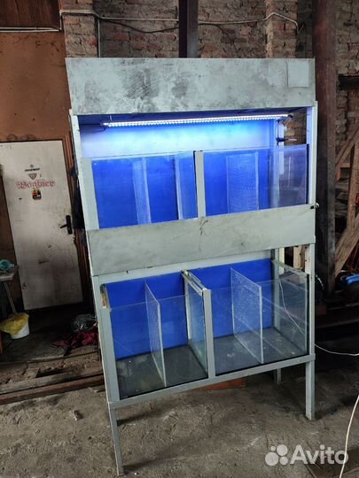 Аквариум тераниум