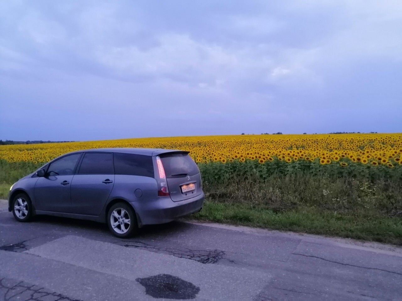 Mitsubishi Grandis: фото владельца