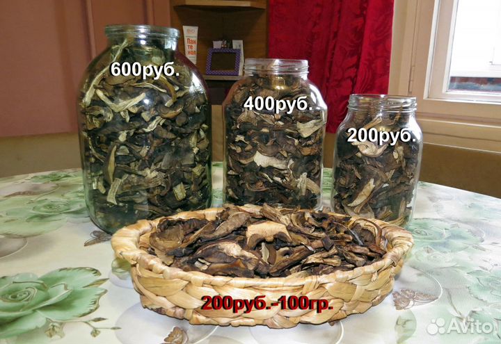 Грибы. Сморчки. Строчки