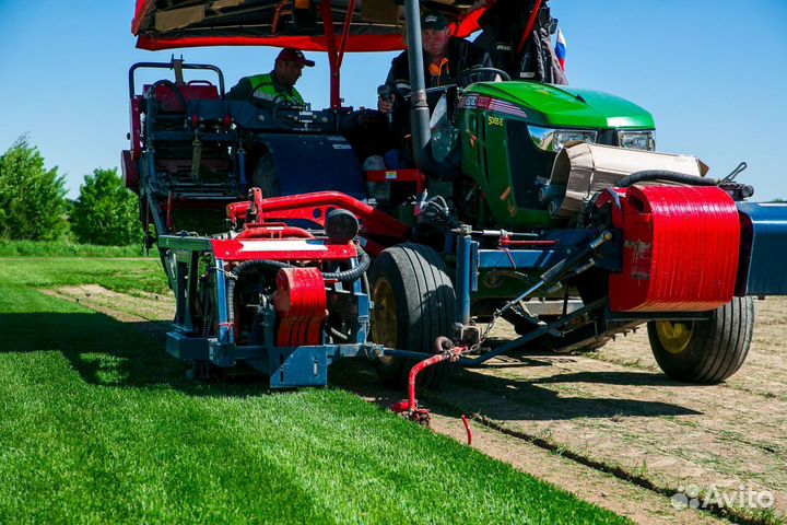 Продажа Рулонного газона, производитель