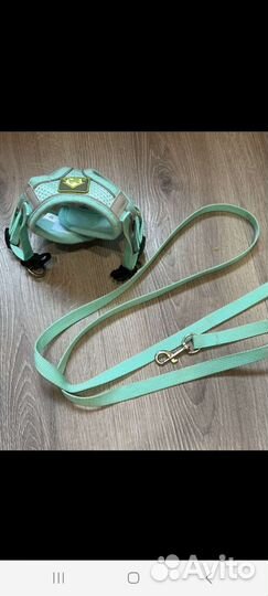 Шлейка для кошки, или маленькой собачки