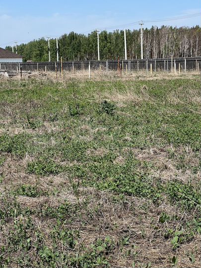 Участок 15 сот. (СНТ, ДНП)