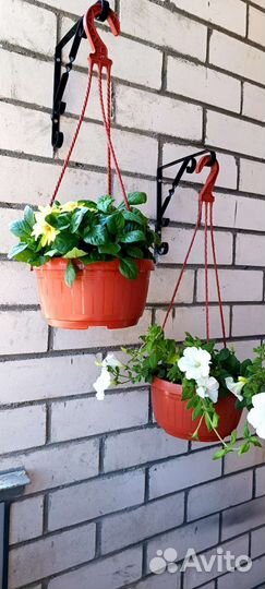Кашпо горшок для цветов