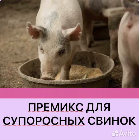 Премикс для супоросных свиноматок