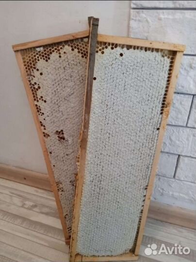 Мёд В сотах