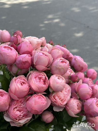 Пионовидные кустовые розы Сургут доставка