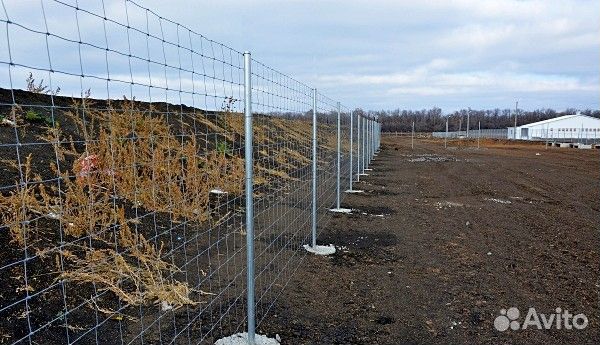 Сетка шарнирная для забора 1,55 м рулон 50 метров